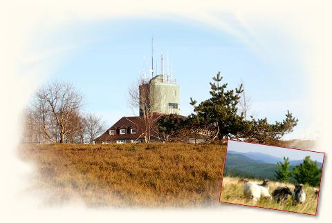 Kahler Asten mit Aussichtsturm